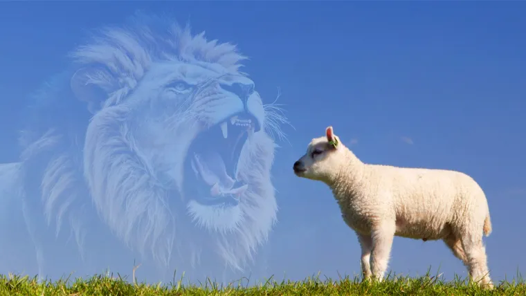 The Lion or the Lamb